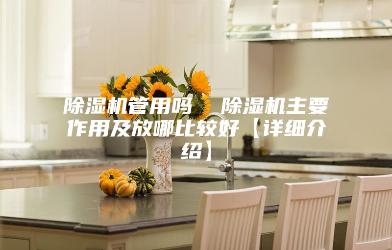 除湿机管用吗  除湿机主要作用及放哪比较好【详细介绍】