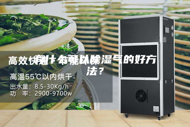 有什么可以除湿气的好方法？