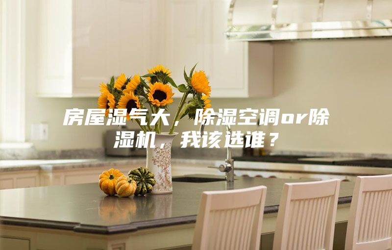 房屋湿气大，除湿空调or除湿机，我该选谁？