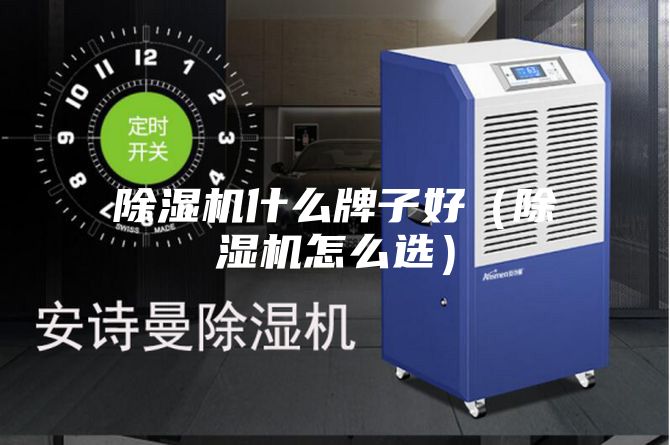 除湿机什么牌子好（除湿机怎么选）
