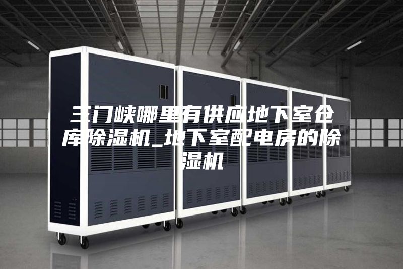 三门峡哪里有供应地下室仓库除湿机_地下室配电房的除湿机