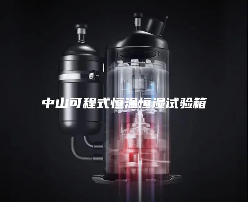 中山可程式恒温恒湿试验箱