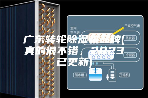 广东转轮除湿机品牌(真的很不错，2023已更新)