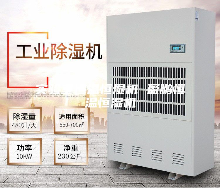 实验室恒温恒湿机 盈鹏恒温恒湿机