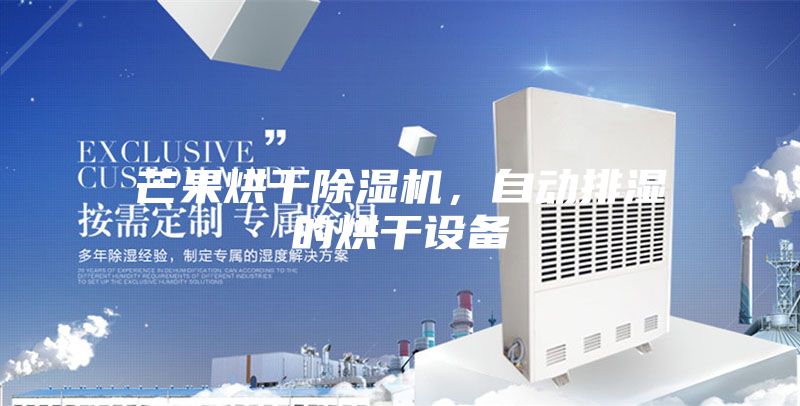 芒果烘干除湿机，自动排湿的烘干设备
