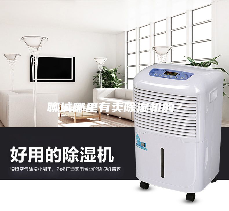 聊城哪里有卖除湿机的？