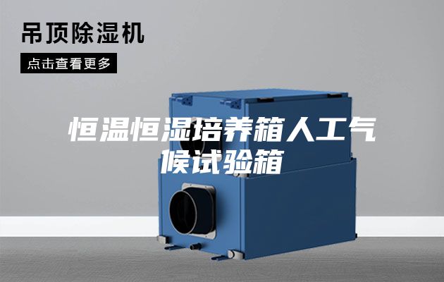 恒温恒湿培养箱人工气候试验箱