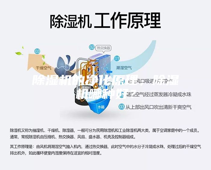 除湿机的净化原理，除湿机哪种好？