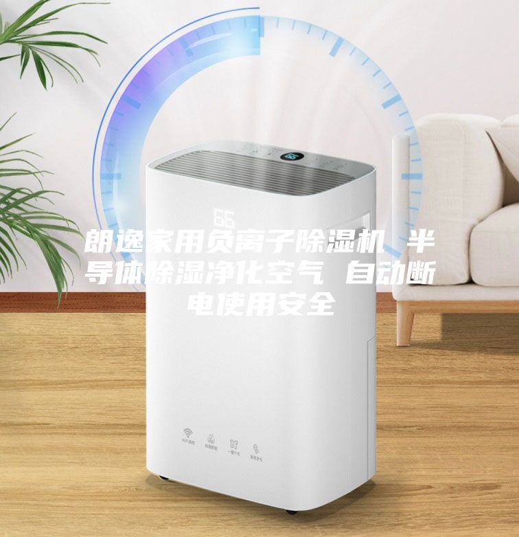 朗逸家用负离子除湿机 半导体除湿净化空气 自动断电使用安全