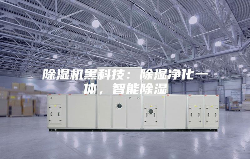 除湿机黑科技：除湿净化一体，智能除湿