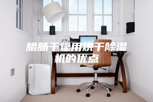 腊肠干燥用烘干除湿机的优点