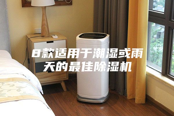 8款适用于潮湿或雨天的最佳除湿机