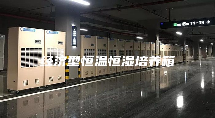经济型恒温恒湿培养箱
