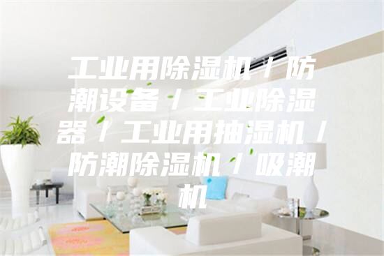 工业用除湿机/防潮设备/工业除湿器/工业用抽湿机/防潮除湿机/吸潮机