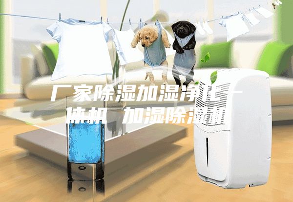 厂家除湿加湿净化一体机 加湿除湿机