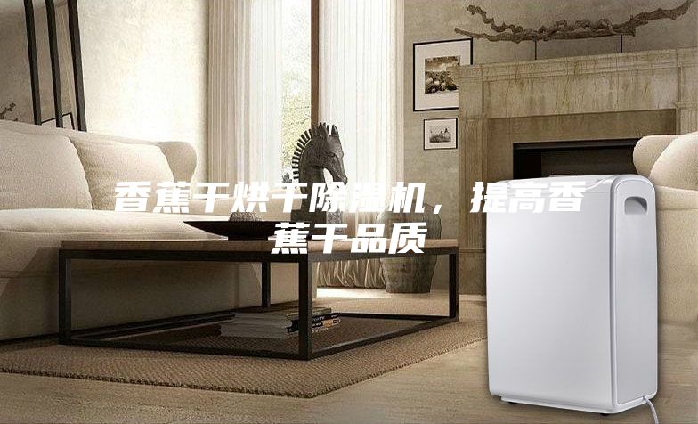 香蕉干烘干除湿机，提高香蕉干品质