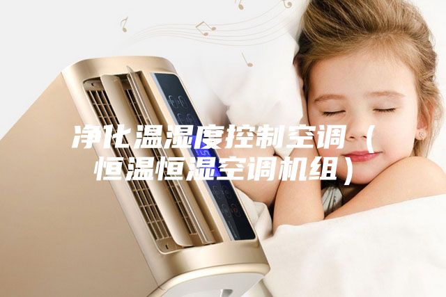 净化温湿度控制空调（恒温恒湿空调机组）