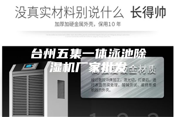 台州五集一体泳池除湿机厂家批发