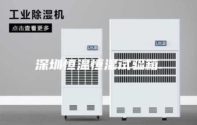 深圳恒温恒湿试验箱.