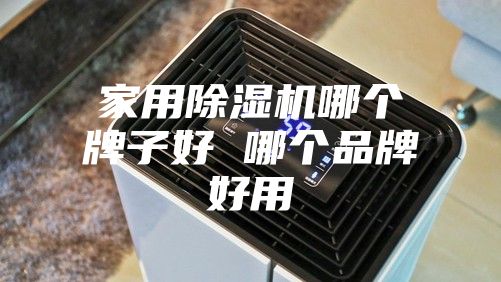 家用除湿机哪个牌子好 哪个品牌好用