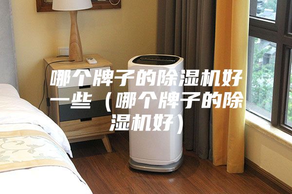 哪个牌子的除湿机好一些（哪个牌子的除湿机好）