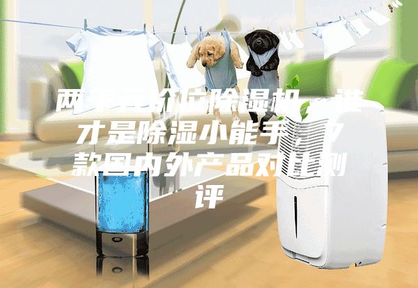 两千元价位除湿机，谁才是除湿小能手，7款国内外产品对比测评