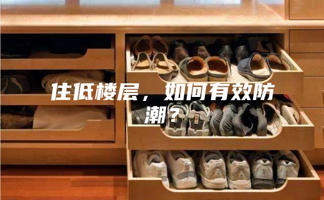 住低楼层，如何有效防潮？
