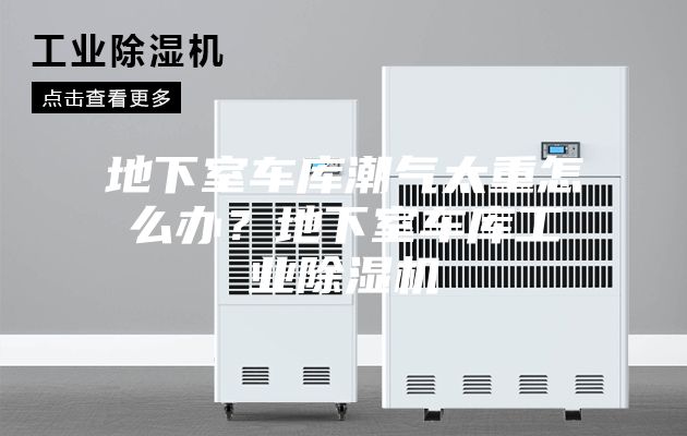 地下室车库潮气太重怎么办？地下室车库工业除湿机