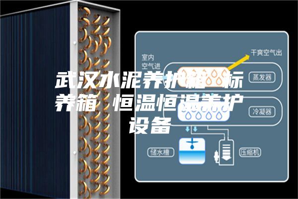 武汉水泥养护箱 标养箱 恒温恒湿养护设备