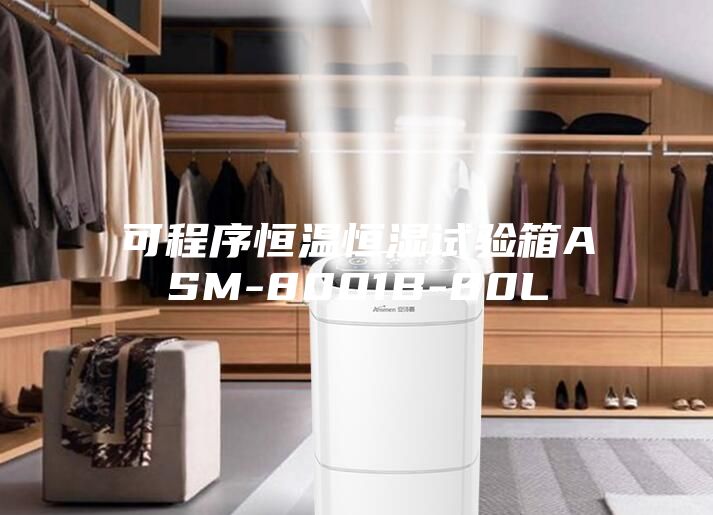 可程序恒温恒湿试验箱ASM-8001B-80L