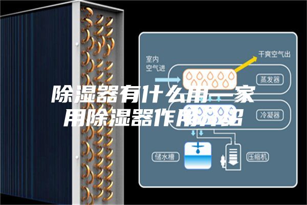 除湿器有什么用—家用除湿器作用介绍