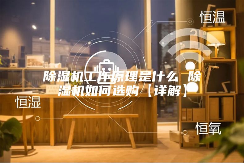 除湿机工作原理是什么 除湿机如何选购【详解】