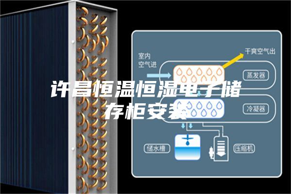 许昌恒温恒湿电子储存柜安装