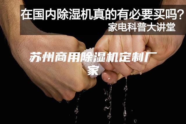 苏州商用除湿机定制厂家