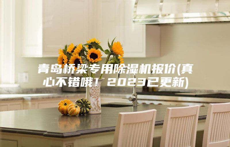 青岛桥梁专用除湿机报价(真心不错哦！2023已更新)