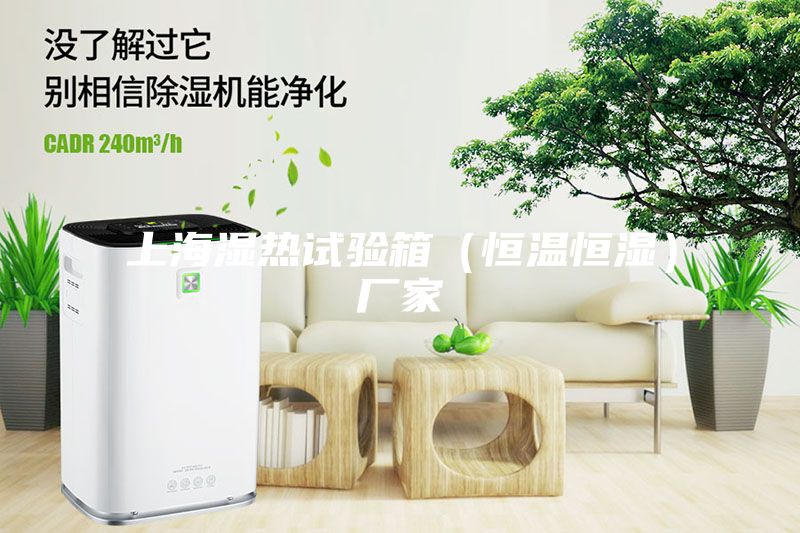 上海湿热试验箱（恒温恒湿）厂家