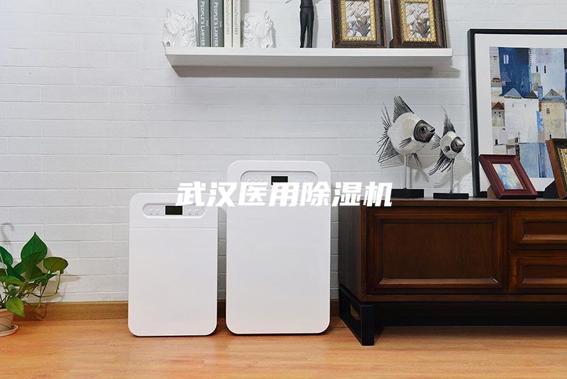 武汉医用除湿机