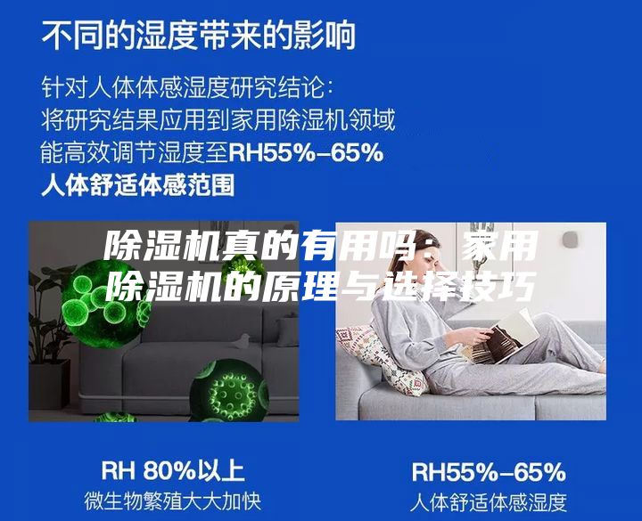 除湿机真的有用吗：家用除湿机的原理与选择技巧