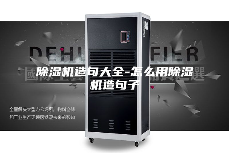 除湿机造句大全-怎么用除湿机造句子