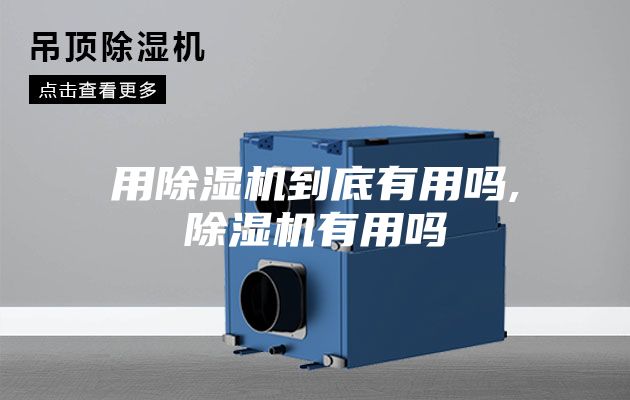 用除湿机到底有用吗,除湿机有用吗