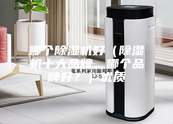 哪个除湿机好（除湿机十大品牌，哪个品牌好？）优质