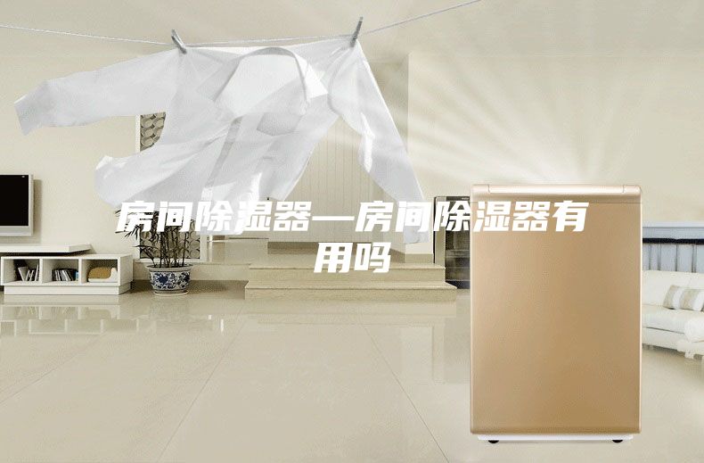 房间除湿器—房间除湿器有用吗