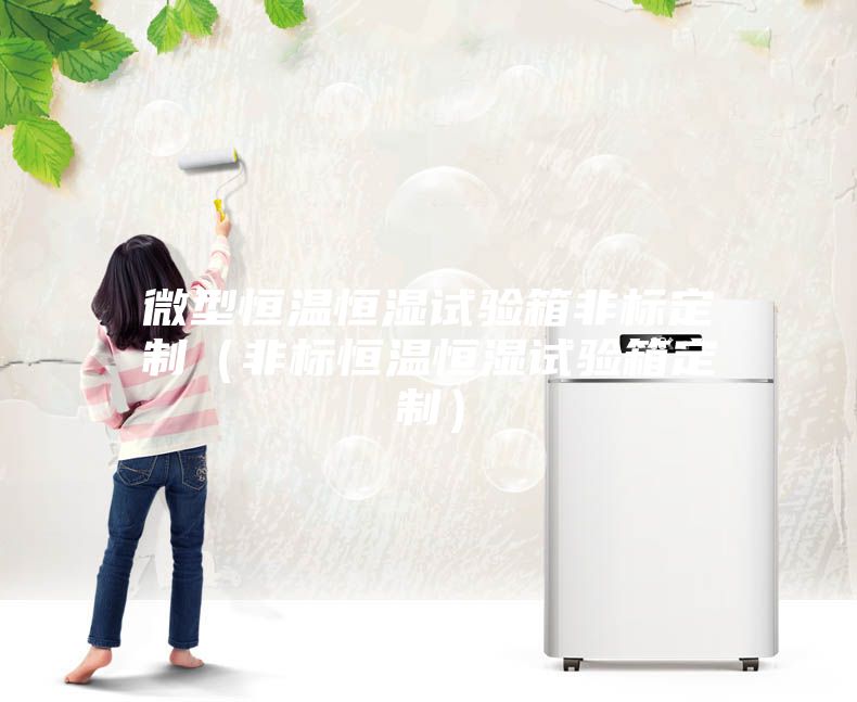 微型恒温恒湿试验箱非标定制（非标恒温恒湿试验箱定制）