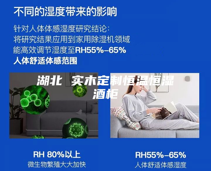 湖北 实木定制恒温恒湿酒柜