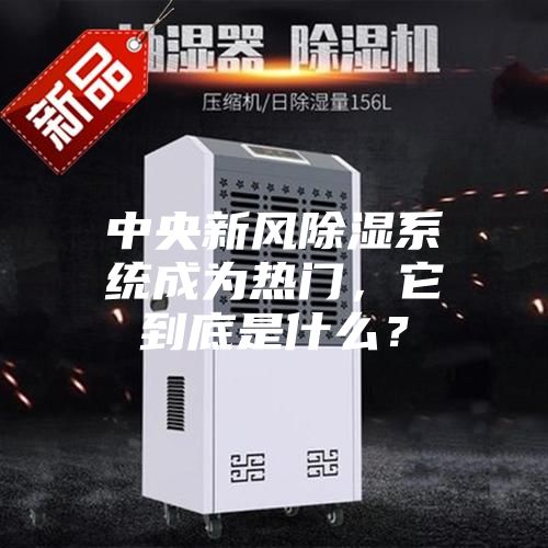 中央新风除湿系统成为热门，它到底是什么？