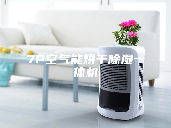 7P空气能烘干除湿一体机