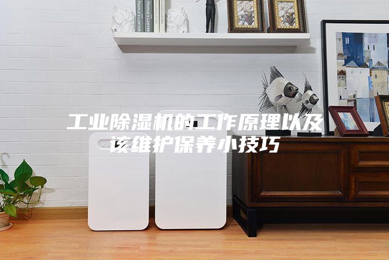 工业除湿机的工作原理以及该维护保养小技巧