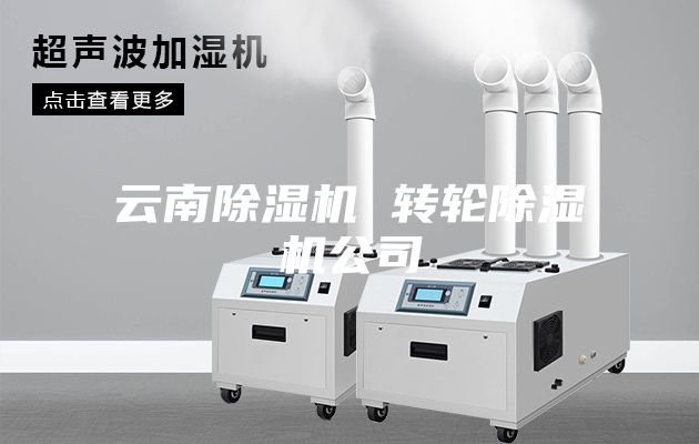 云南除湿机 转轮除湿机公司
