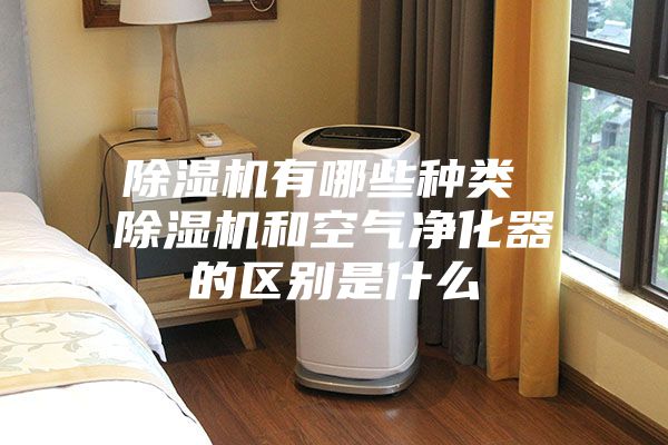 除湿机有哪些种类 除湿机和空气净化器的区别是什么