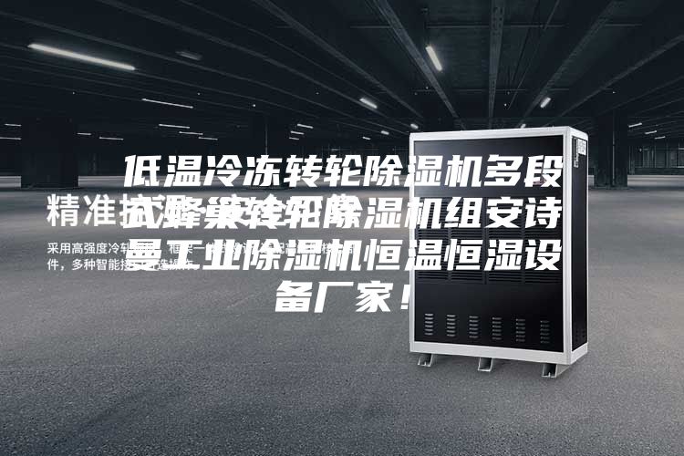 低温冷冻转轮除湿机多段式蜂巢转轮除湿机组安诗曼工业除湿机恒温恒湿设备厂家！